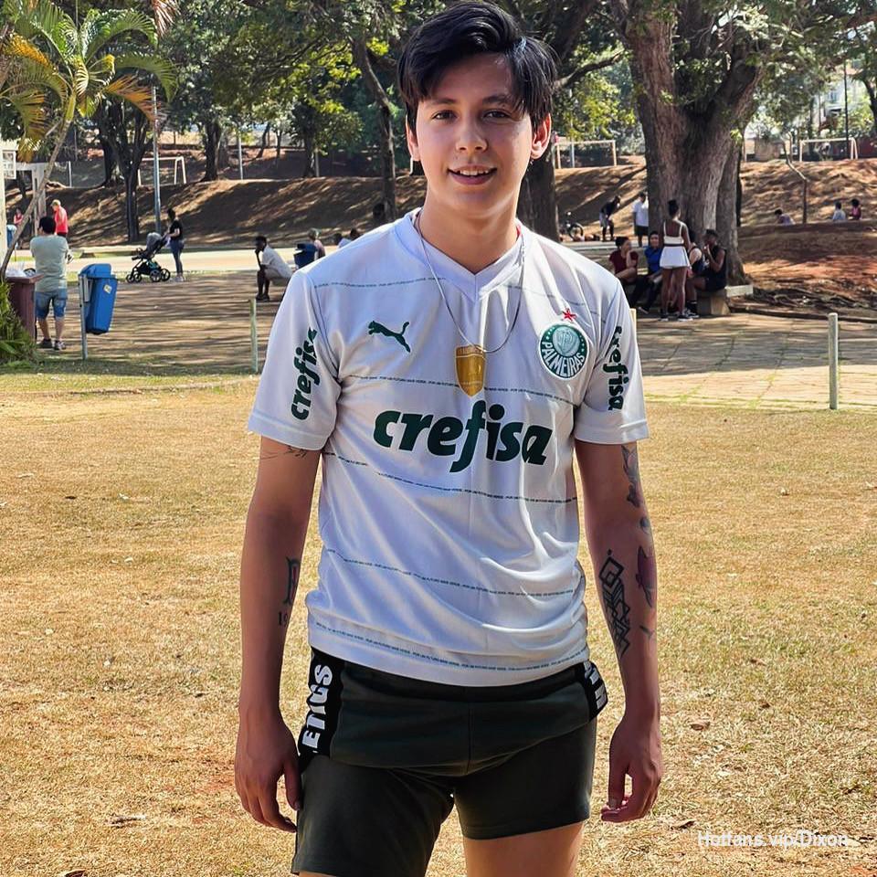 vem conhecer os conteúdos desse palmeirense safado